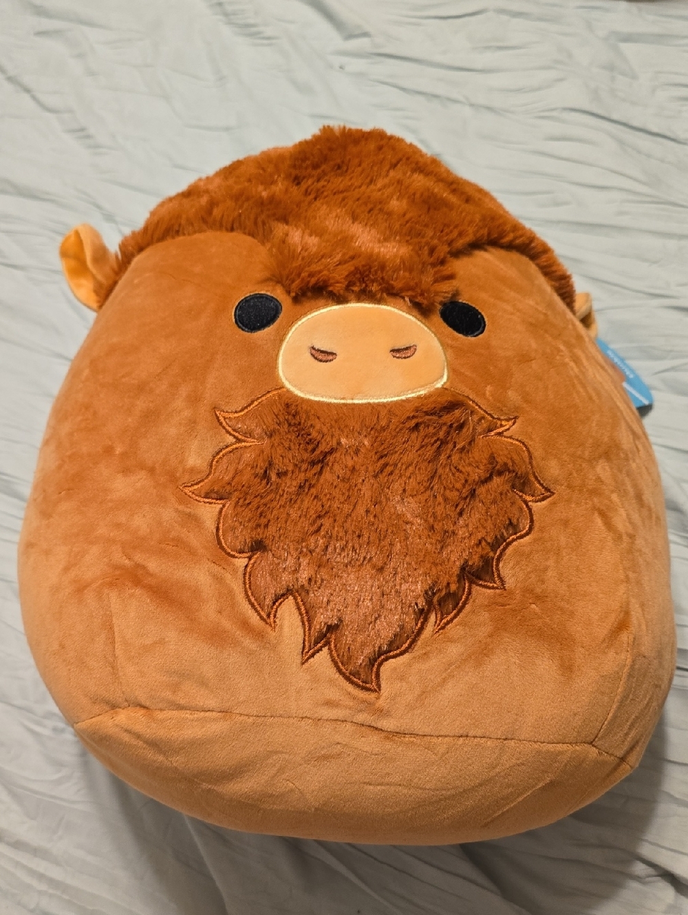 Squishmallow Highland Cow Dunkie